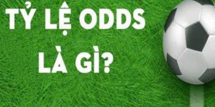 Odds trong bóng đá là gì